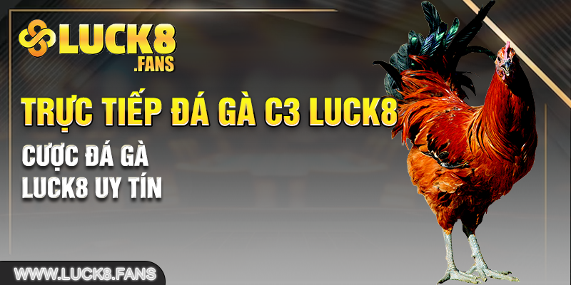 Cược đá gà LUCK8 uy tín