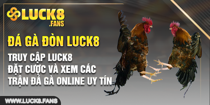 Truy cập LUCK8 đặt cược và xem các trận đá gà online uy tín